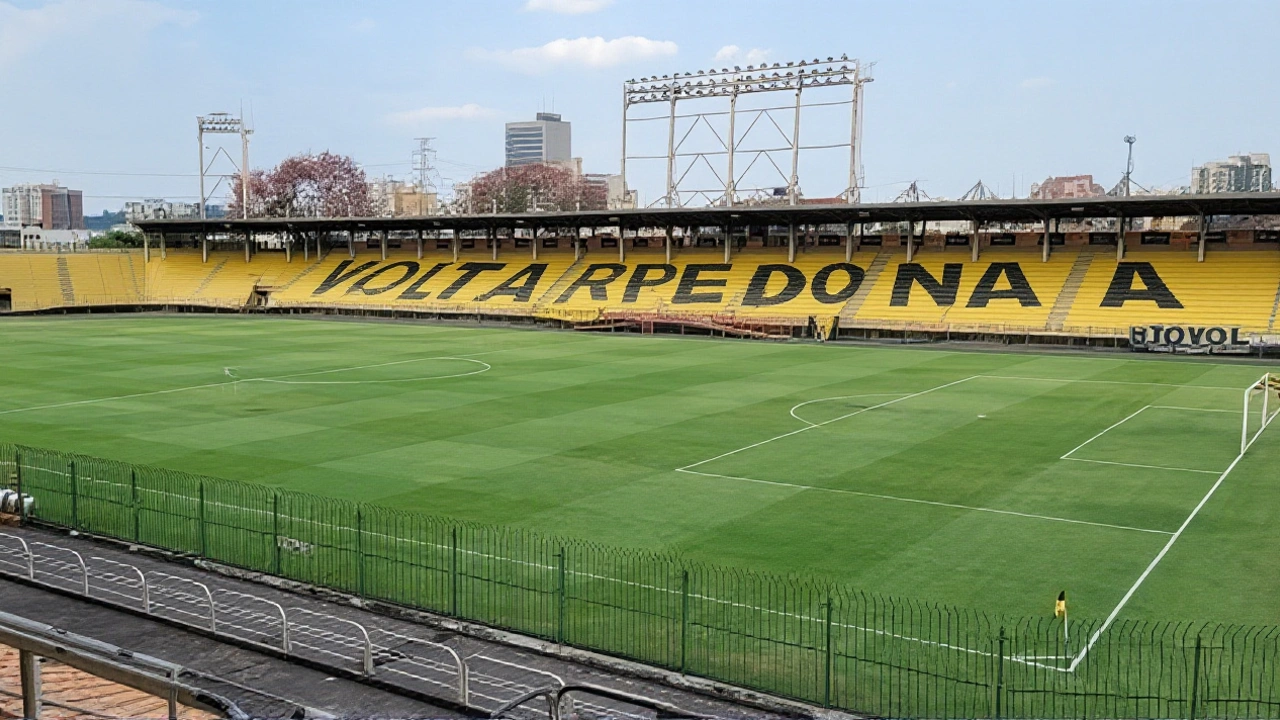 Quem está no topo e quem caiu